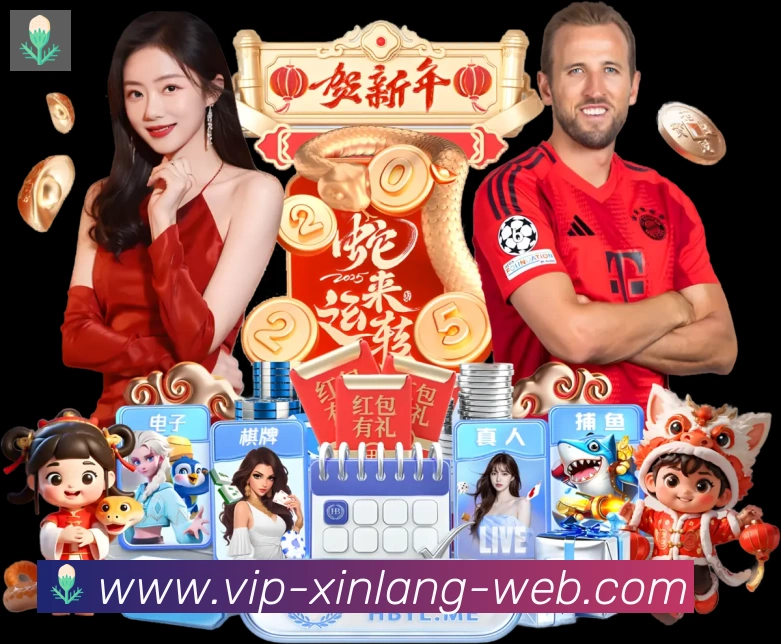 App界面